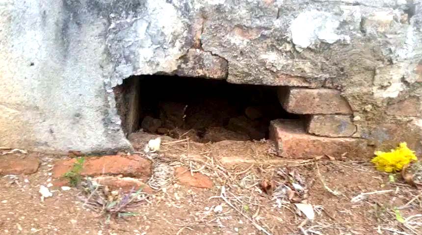 Saqueadores de tumbas 2