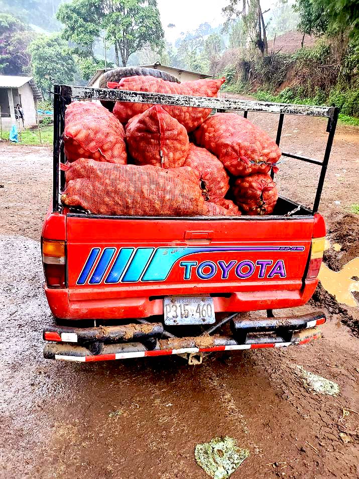 Decomisan casos de 24 papas en Chalatenango 1