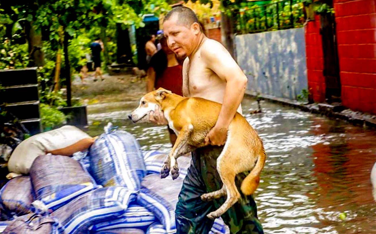 Un hombre rescta a su mascota e la colonia San Francisco de San Salvador