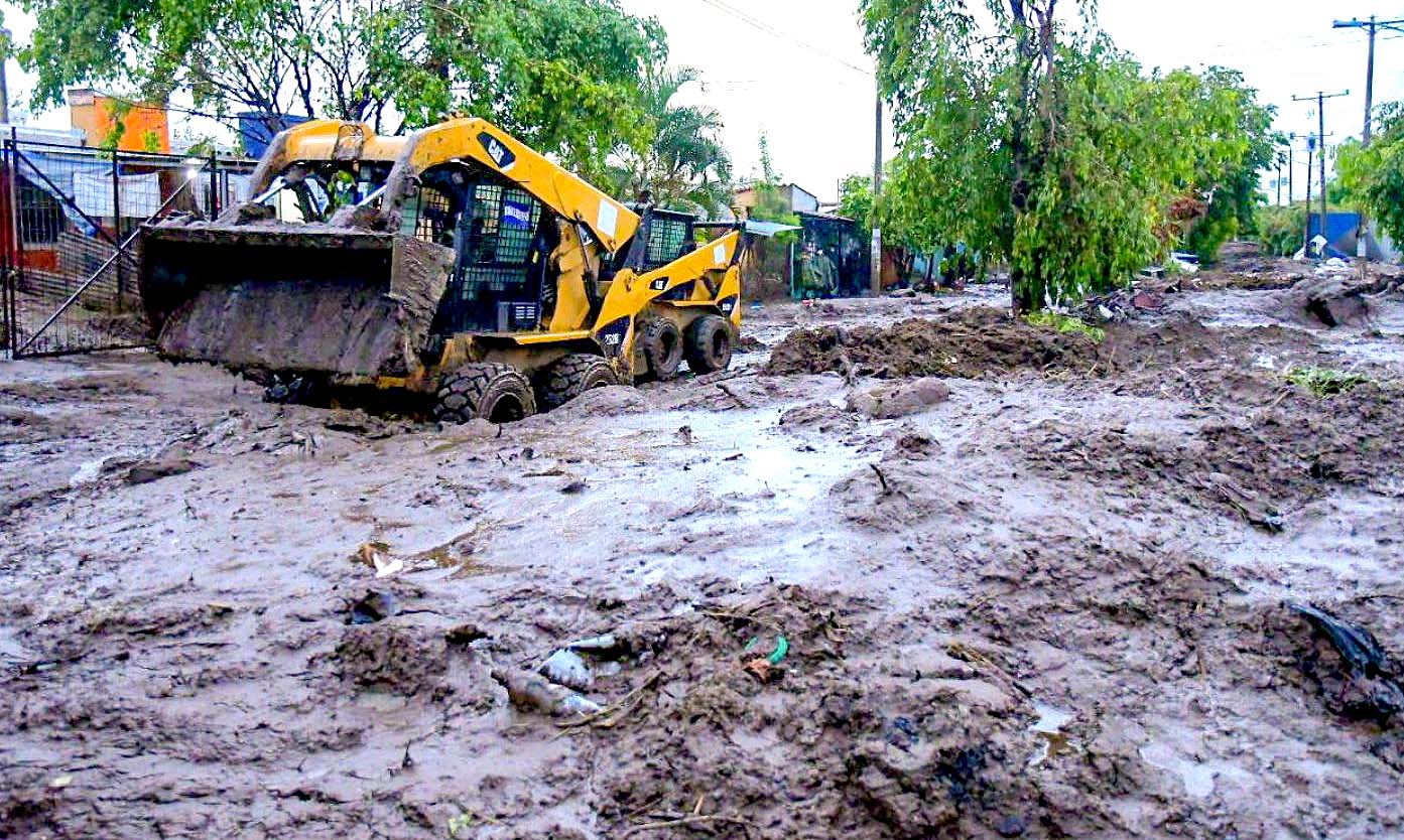 Campos Verde en Colón 3