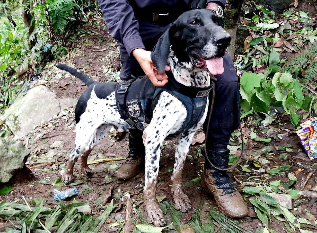 Trabajos de rescate en Santo Tomás 6