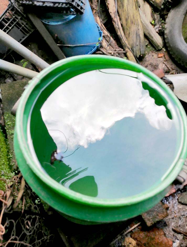 Sin agua en Santa tecla 1