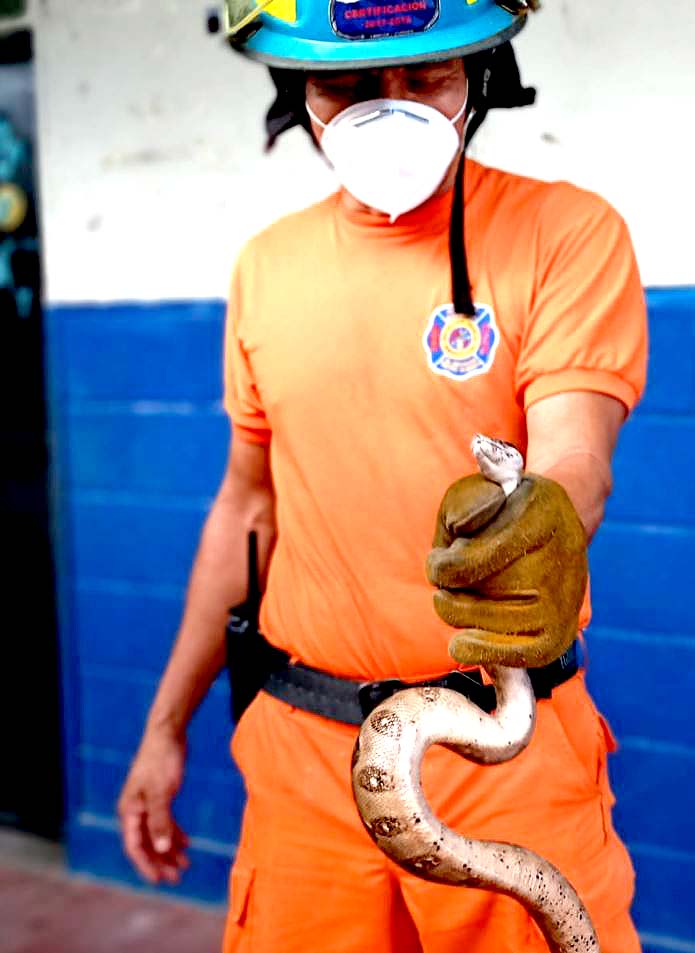 Mazacuata foto Bomberos 1