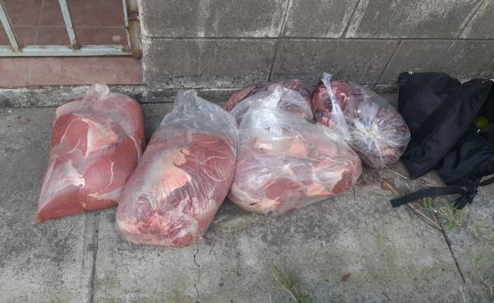 Tololos de carne
