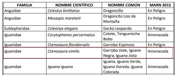 Acuerdo 74 de las especies amenazadas y en peligro de extinsión 1
