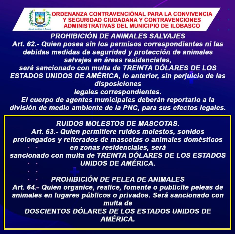 Ordenanza municipal en lo relativo a los animales Tomada de la alcaldía de Ilobasco 1