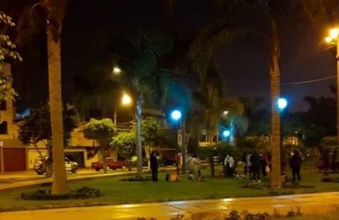 Celebración a Perro