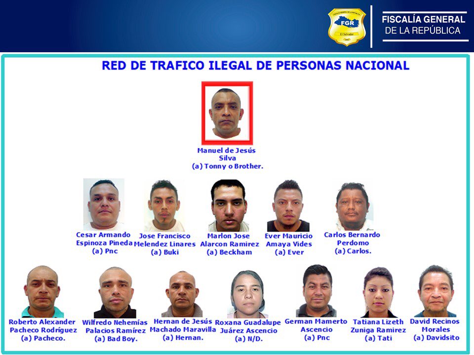 Líder de banda de coyotes 2