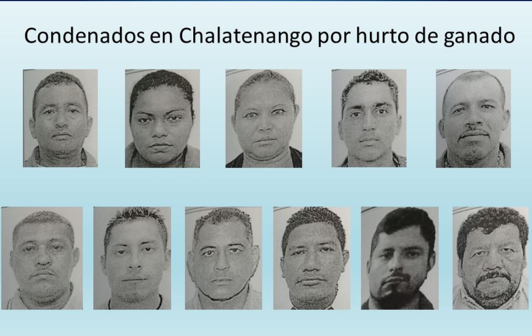 Condenados por vender carne de ganado hurtado en mercado central Foto Fiscalía