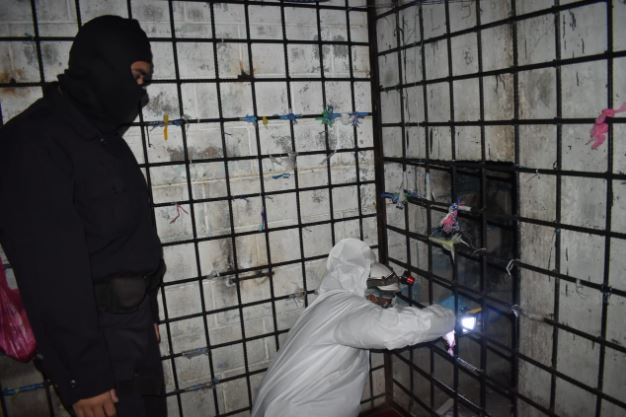 Bartolinas de San Marcos