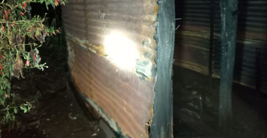 Octo en Santa Isabel