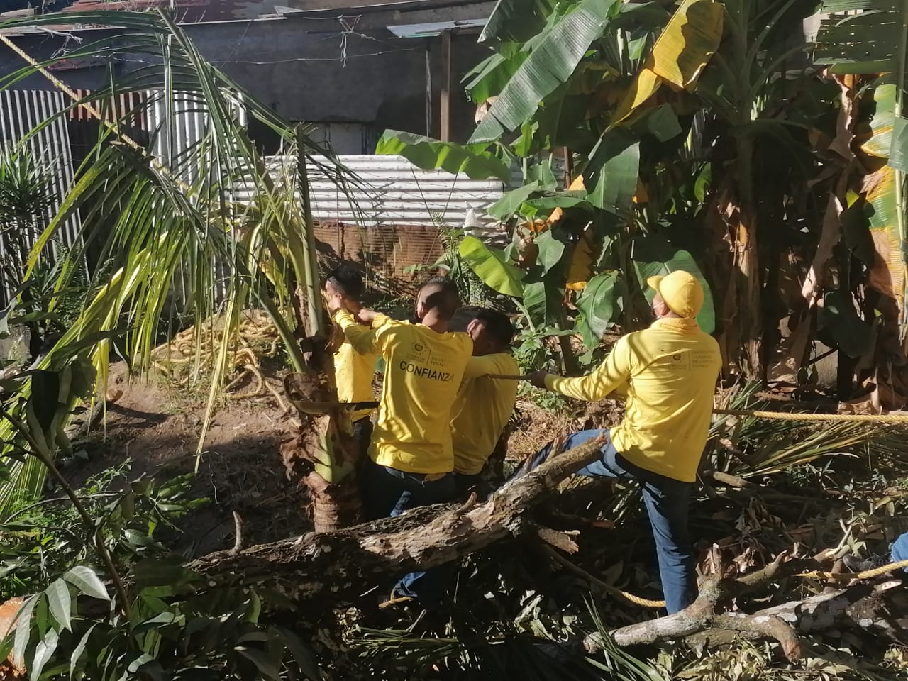 San Antonio Abad reos