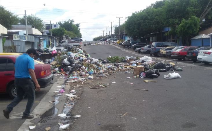 Basura en Valle Verde2