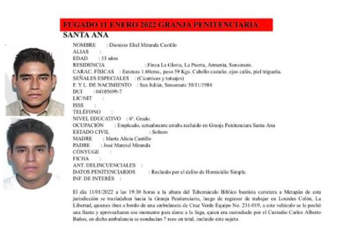 Dionisio