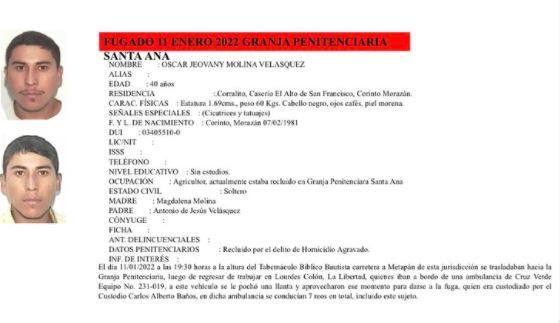 Oscar reo