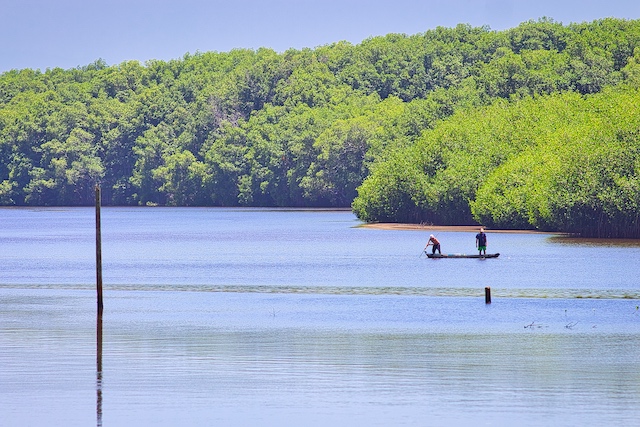 Programa de Rescate de Manglar en la Barra De Santiago, Sonsonate, El Salvador, el 20 de julio de 2022, durante la visita de personal de FUNDEMAS y de Banco Davivienda Salvadoreño.
Foto Banco Davivienda Salvadoreño/Salvador Meléndez