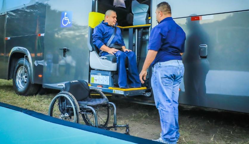 Nuevos buses