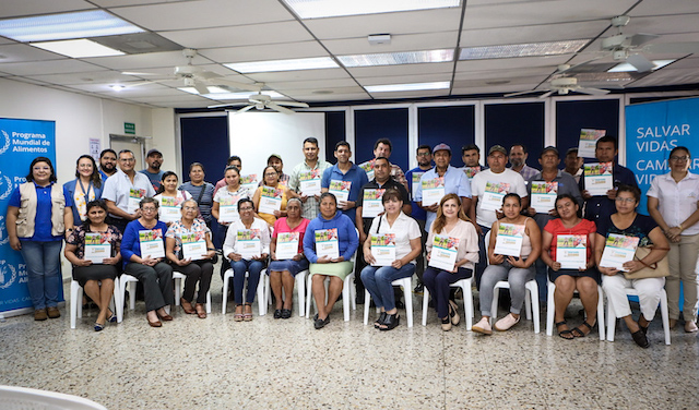 MAG Y PMA 1