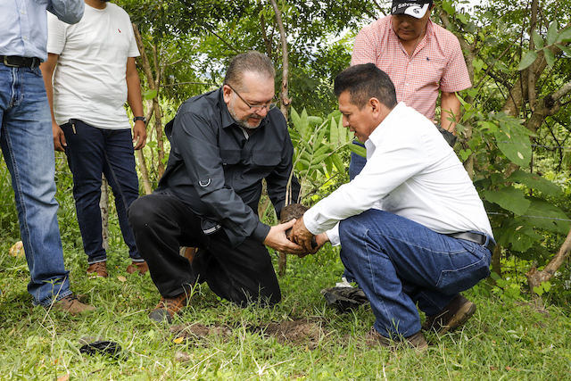 REFORESTAN VALLE JIBOA-MAG 2