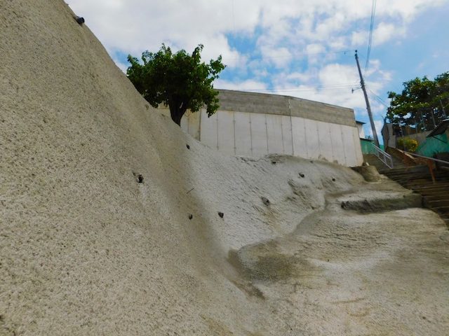 DOM ELIMINA CARCAVA EN MEJICANOS 2