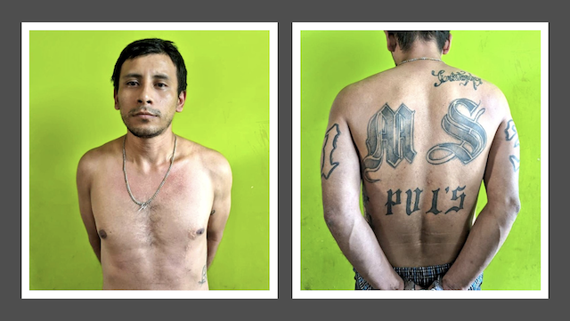 David Antonio Platero Ramírez, alias Siniestro o Chucho, corredor MS-13