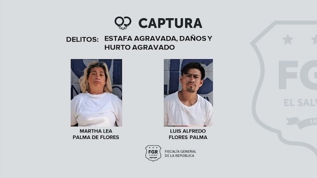 Martha Lea Palma de Flores y Luis Alfredo Flores Palma estafa agravada, hurto agravado y daños