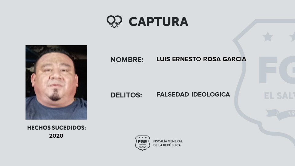 Luis Ernesto Rosa García, falsedad ideológica