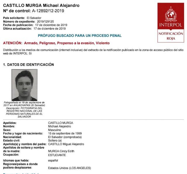 Michael Alejandro Castillo Murga