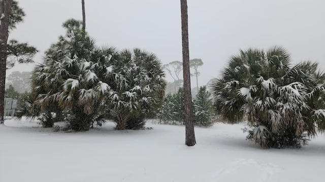 Tormenta invernal sur Estados Unidos 3