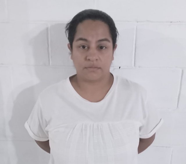 Claudia Guadalupe Martínez Pérez, falsedad material agravada