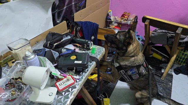 Drogas en cervecería clandestina Centro Histórico de San Salvador