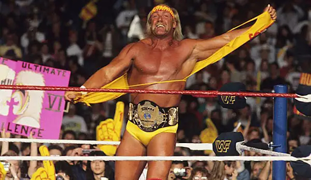 Hulk Hogan copia