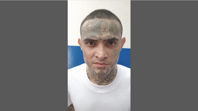 Eduardo Enrique González Mendoza, alias Gárgola, 18 Revolucionarios, agrupaciones ilícitas