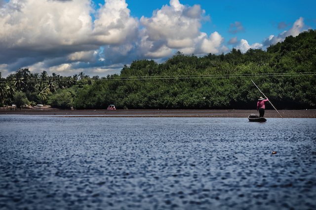 Visita al Manglar restaurado en la Barra de Santiago por parte de Davivienda Seguros, pasando por avistamiento de Cocodrilos en el Cana El Zapatero, en Ahuachapan, El Salvador, el 25 de julio de 2025.
Foto Banco Davivienda/ Salvador Melendez