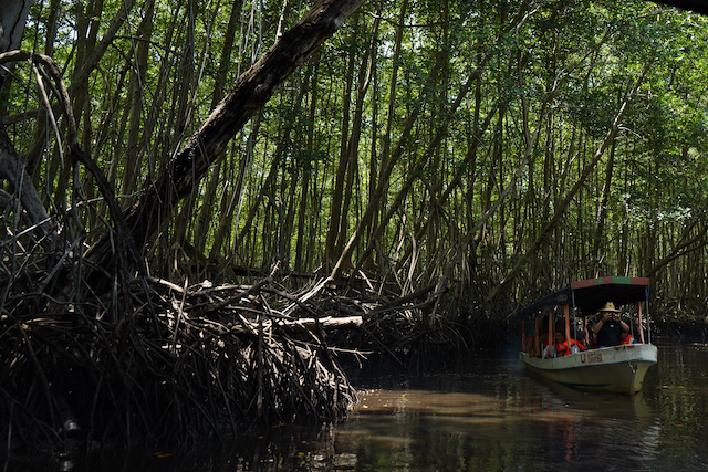 Manglar_Seguros_2025_122
