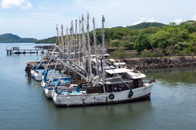 Barcos pesqueros 2