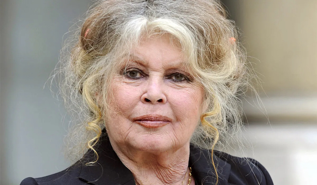 Brigitte Bardot 3 copia