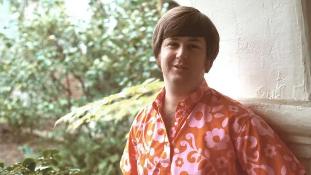 Brian Wilson The Beach Boys copia