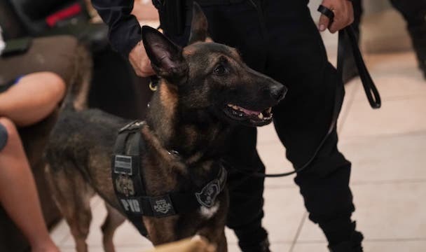 Allanamientos red de narcos 13-02-2026