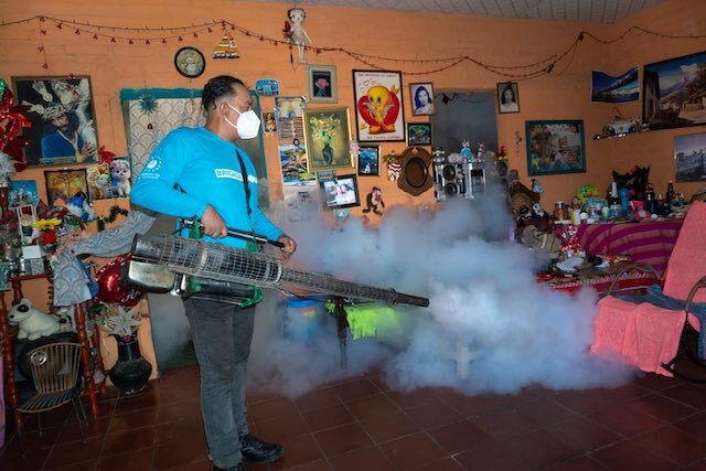 DOM fumigación a escala nacional 22-02-2026