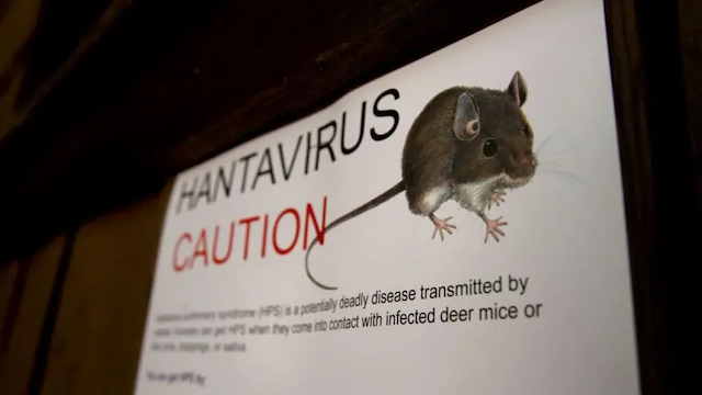 Hantavirus 2 copia
