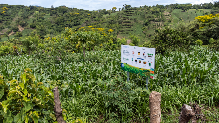 Agricultura 2