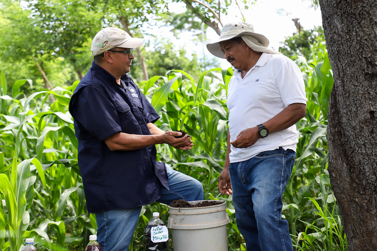 Agricultura 3