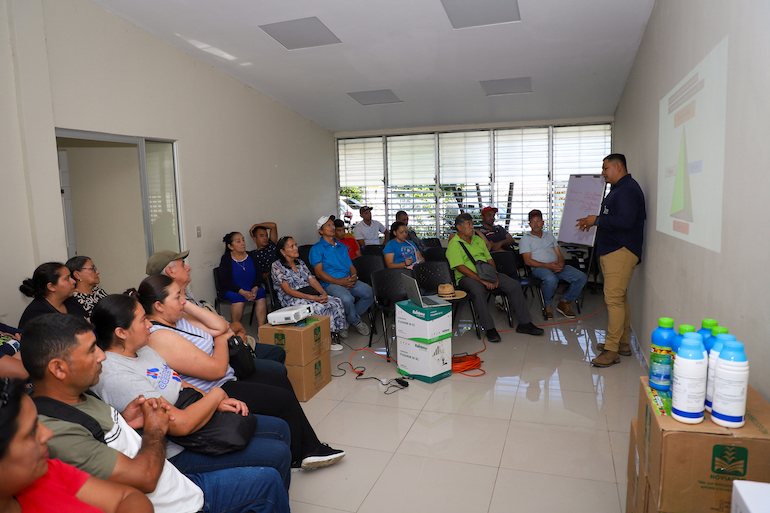 Productores de café de Chalatenango