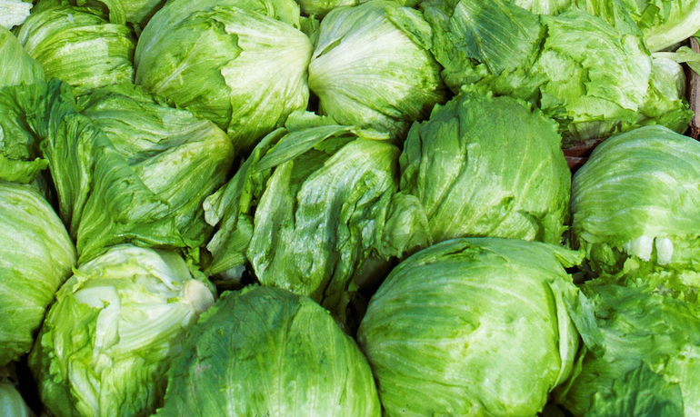 diarrea explosiva Estados Unidos lechuga copia
