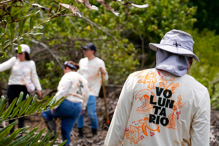 DAVIVIENDA MANGLAR 2026_